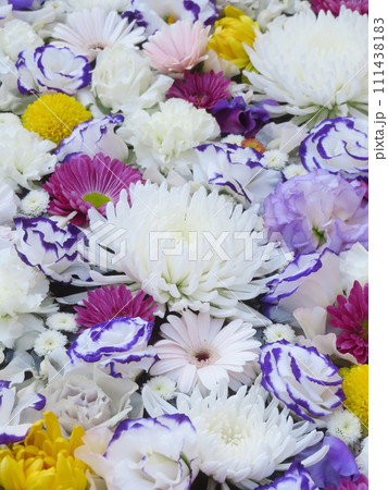 花手水 111438183
