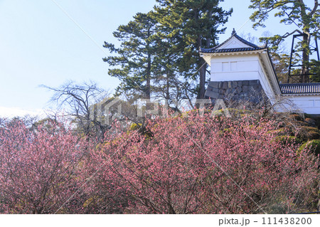 小田原城 111438200
