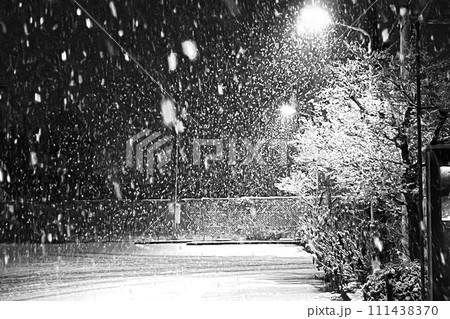 雪降る夜 雪降る夜 111438370