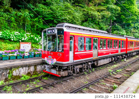 箱根登山鉄道　あじさい電車 （宮ノ下駅） 111438724