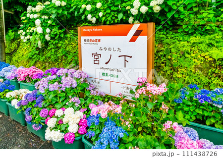 箱根登山鉄道　あじさいの咲く宮ノ下駅 111438726