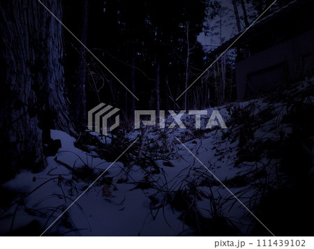 薄暗い雪の積もった山道 薄暗い雪の積もった山道 111439102