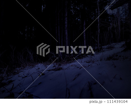薄暗い雪の積もった山道 111439104