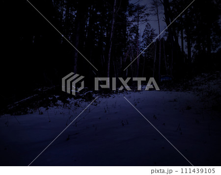 薄暗い雪の積もった山道 111439105