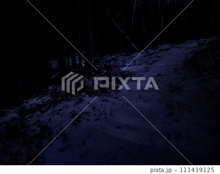 薄暗い雪の積もった山中 111439125