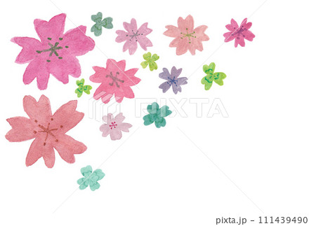 透明水彩絵の具で描いた風に舞う桜の花とクローバーのイラスト 111439490