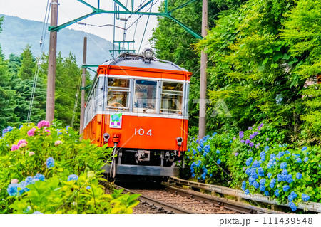 箱根登山鉄道　あじさい電車 （彫刻の森付近） 111439548