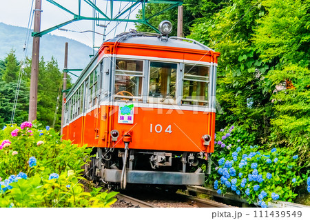箱根登山鉄道 あじさい電車 (彫刻の森付近) 箱根登山鉄道 あじさい電車 (彫刻の森付近) 111439549
