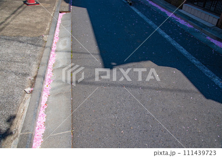 東京都の杉並区の街と桜の花びら 東京都の杉並区の街と桜の花びら 111439723