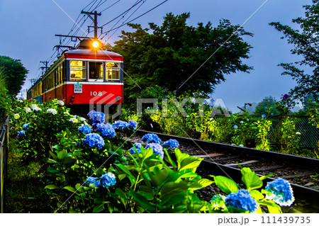 箱根登山鉄道 あじさい電車 (彫刻の森付近) 箱根登山鉄道 あじさい電車 (彫刻の森付近) 111439735