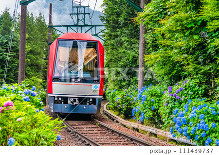 箱根登山鉄道　あじさい電車 （彫刻の森付近） 111439737