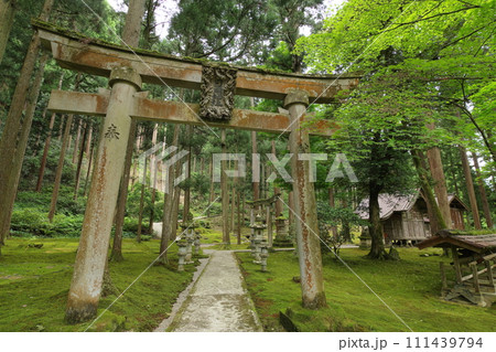 日用苔の里　日用神社　石川県小松市日用町 111439794