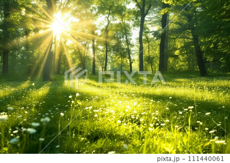Sunlight in the green forest, spring time. generative ai. 111440061