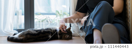wellness and wellbeing concept with asian woman sit and play with her cat in livingroom 111440443