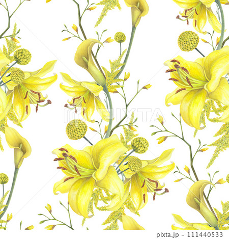 Lilies Yellow flower, calla lilies, craspedia seamless pattern isolated white background. Watercolor hand drawn botanic illustration. Art design wedding invitation, greeting card, decoration graphic 111440533