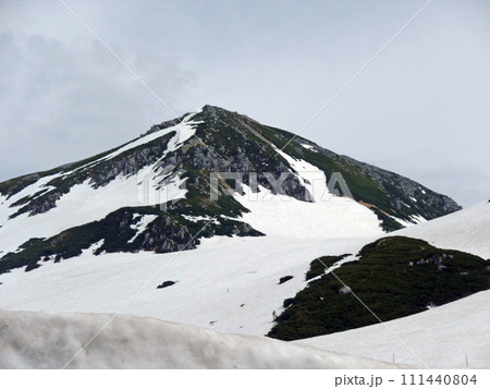 日本 ジャパン 日本国 111440804