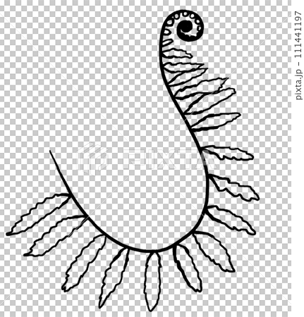 Hand drawn fern leaves, black outlines, isolated illustration, wedding stationery element Hand drawn fern leaves, black outlines, isolated illustration, wedding stationery element 111441197