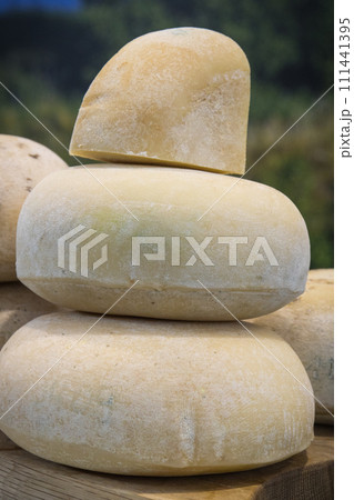 Blocks of yellow cheese with spices for sale on stall or in grocery shop 111441395