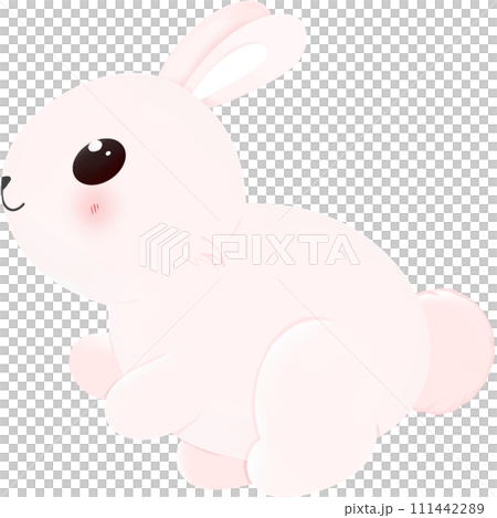 Happy baby bunny 111442289
