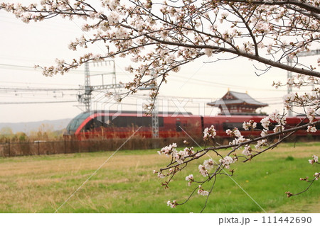 桜が咲く世界遺産平城宮跡で朱雀門を横目に近鉄奈良線の「特急ひのとり」が通過 111442690