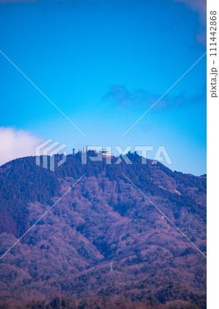 【京都風景】粟田神社からの平安神宮大鳥居の遠景 111442868