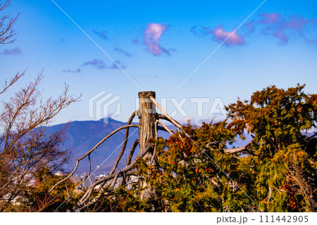 【京都風景】粟田神社からの平安神宮大鳥居の遠景 111442905