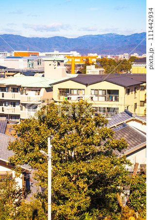 【京都風景】粟田神社からの平安神宮大鳥居の遠景 111442934