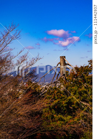 【京都風景】粟田神社からの平安神宮大鳥居の遠景 111442937