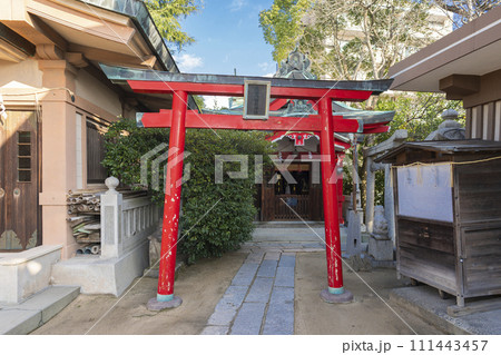 熊鷹稲荷神社(亀山八幡宮境内末社) 熊鷹稲荷神社(亀山八幡宮境内末社) 111443457