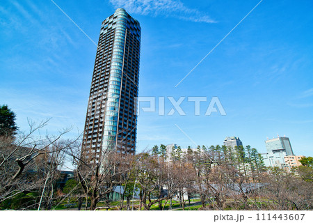 東京赤坂　檜町公園から観るパークコート赤坂檜町ザタワー　冬の風景 111443607