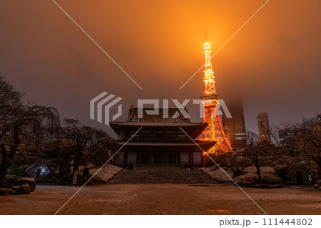 《東京都》雪景色の東京タワーと増上寺・2024年2月5日東京の大雪 《東京都》雪景色の東京タワーと増上寺・2024年2月5日東京の大雪 111444802