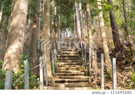 物見峠の階段（白山順礼峠ハイキングコース） 111445080