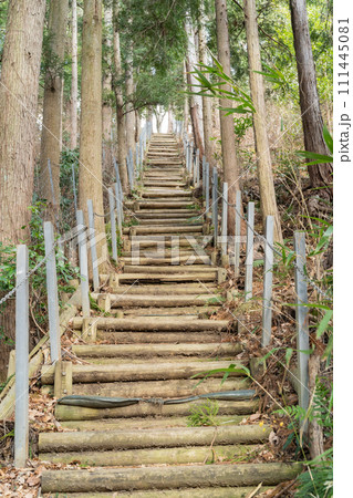 物見峠の階段（白山順礼峠ハイキングコース） 111445081