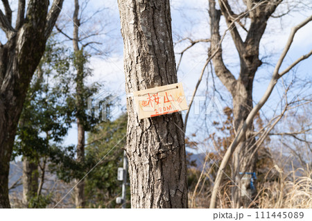 桜山の山頂（白山順礼峠ハイキングコース） 111445089