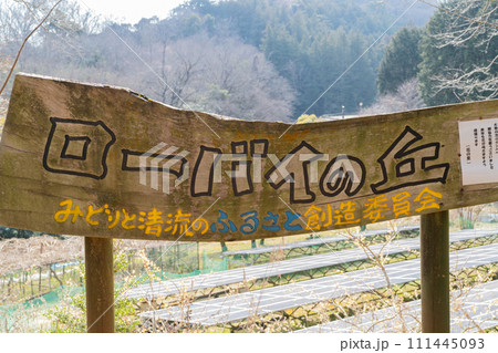 飯山ロウバイ園（白山順礼峠ハイキングコース） 111445093