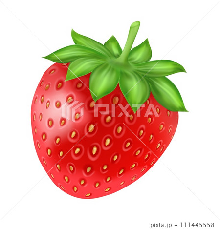 Whole strawberry. Realistic berry with green leaves. Fresh summer raw fruit for packaging and advertising decor. Healthy food. Delicious product. 3d isolated on white background vector illustration 111445558