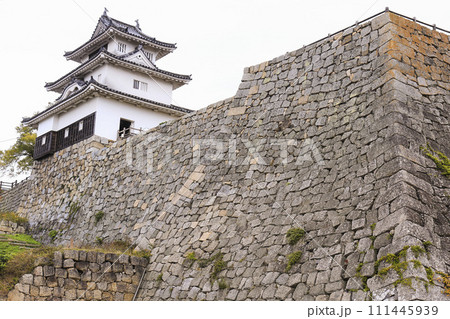 香川・丸亀　丸亀城天守と隅櫓跡 111445939