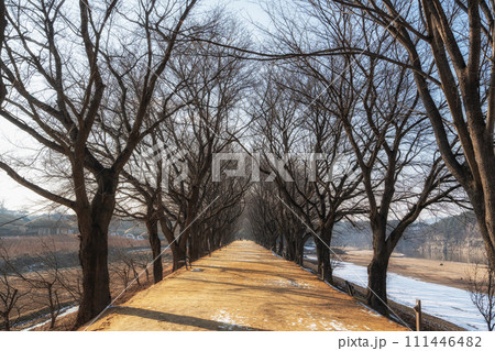 Riverside trail in Andong Hahoe Village Riverside trail in Andong Hahoe Village 111446482