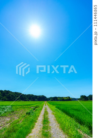 石川県 旅行 自然 夏 空 観光 宿泊 日本海 北陸 畑 稲作 田園 田舎 石川県 旅行 自然 夏 空 観光 宿泊 日本海 北陸 畑 稲作 田園 田舎 111446865