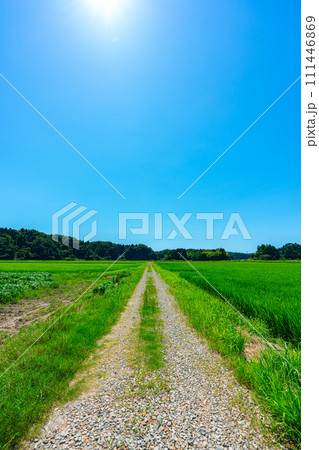 石川県　旅行　自然　夏　空　観光　宿泊　日本海　北陸　畑　稲作　田園　田舎 111446869