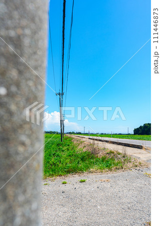 石川県　旅行　自然　夏　空　観光　宿泊　日本海　北陸　畑　稲作　田園　田舎 111446873