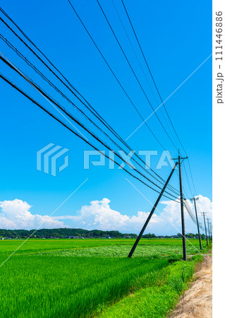 石川県　旅行　自然　夏　空　観光　宿泊　日本海　北陸　畑　稲作　田園　田舎 111446886