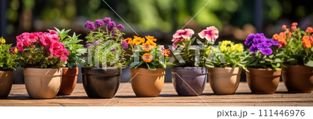 Beautiful colorful variety of spring and summer flowers in pots on the patio, banner 111446976