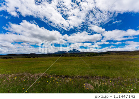 ニュージーランドのトンガリロ国立公園 ニュージーランドのトンガリロ国立公園 111447142