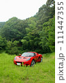 山の中の赤いスポーツカー 111447355