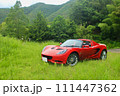 山の中の赤いスポーツカー 111447362
