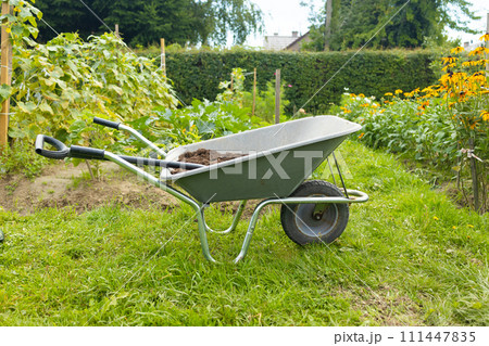 Gardeners wheelbarrow with the gardening tools in the backyard in the gardens. Care services area. 111447835