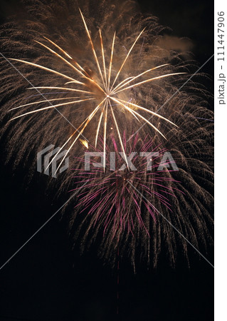花火の美しさに酔いしれる 111447906
