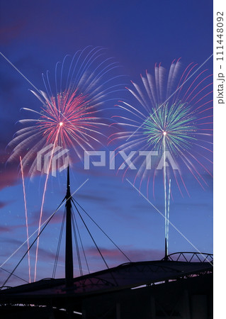 心躍る夏の瞬間、花火の輝く幻想（豊田おいでんまつり　豊田スタジアム　愛知県 豊田市） 111448092