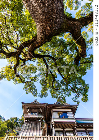 諏訪神社 【長崎市】 諏訪神社 【長崎市】 111448132